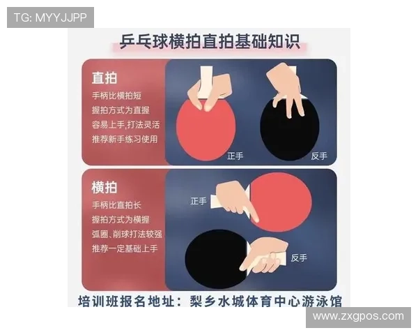 从零基础到高手之路：全面掌握乒乓球节奏技巧与训练方法