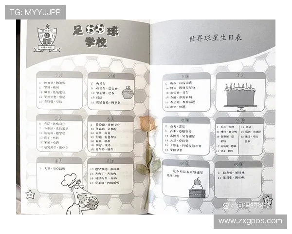 全球足球巨星的传奇故事与赛场风采解析