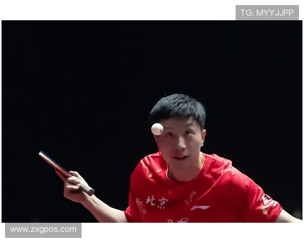 北京乒乓球队的奋斗历程与荣耀时刻全景回顾